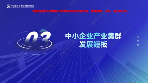 數智賦能，集群崛起 2023年中國中小企業特色產業集群電子商務技術服務發展觀察